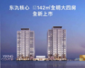 出类拔萃 湖居封面
