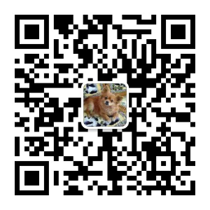 手机扫码加我为微信好友