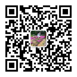 手机扫码加我为微信好友