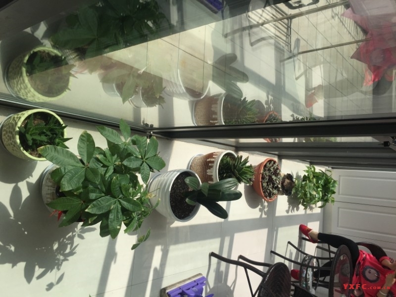 中星湖滨城二期豪装好房3房/2厅/2卫朝南133平米3600元/月