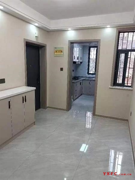 蓝天二期1楼54平方1室1厅原房东全新精装现代简约风格自库13平